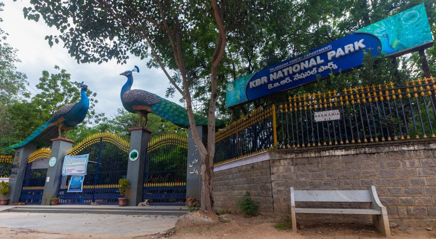 Kasu Brahmananda Reddy National Park, Hyderabad, Telangana - Vushii.com Kasu Brahmananda Reddy National Park, Hyderabad, Telangana - Vushii.com